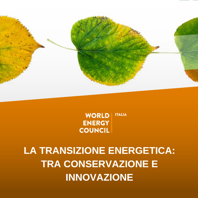 La transizione energetica tra conservazione e innovazione
